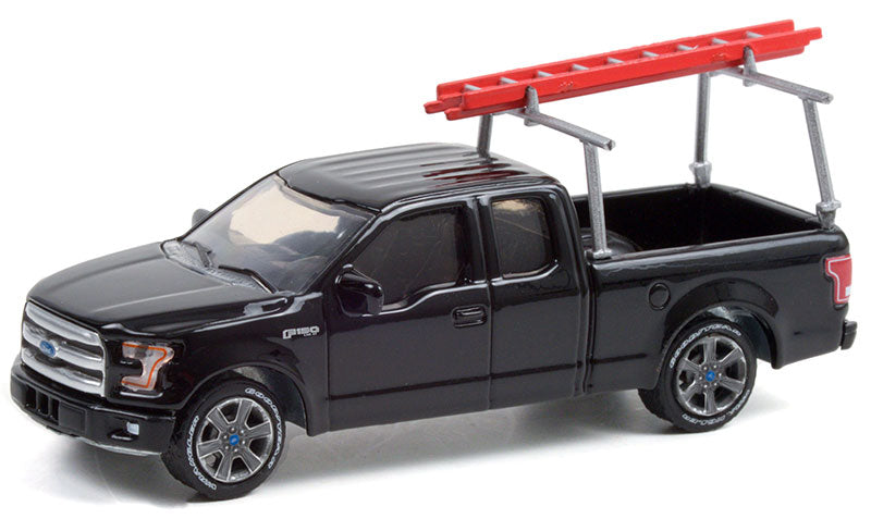 2017 Ford F-150 with Ladder Rack